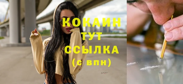 гашик Сафоново