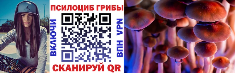 Псилоцибиновые грибы Psilocybine cubensis  цена наркотик  Удомля 